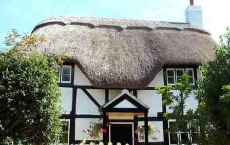 Japonica Cottage